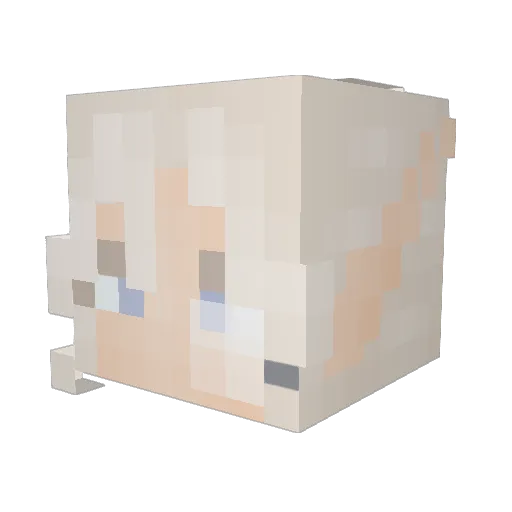 tupes77 Minecraft avatar head, 3D render