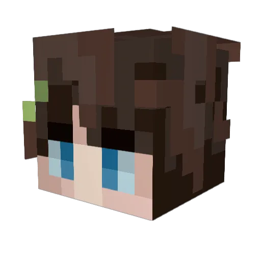 tupliss Minecraft avatar head, 3D render