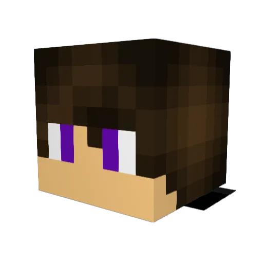 turbo_nitro Minecraft avatar head, 3D render