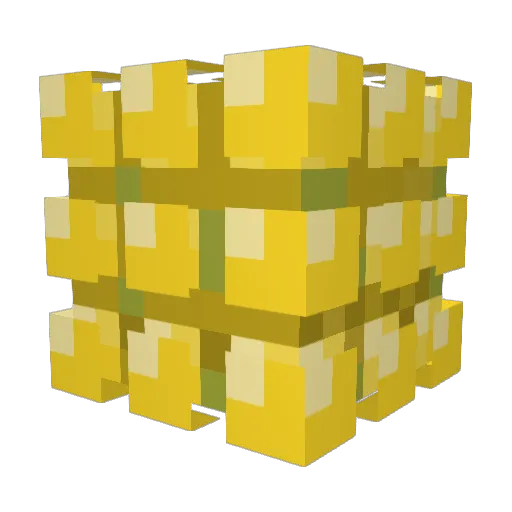 turdpatrol Minecraft avatar head, 3D render