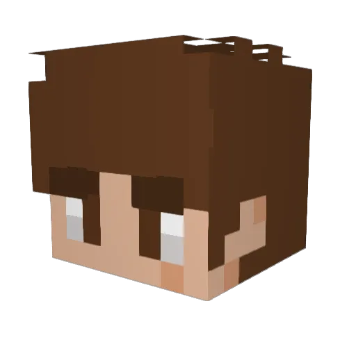 turkey1009 Minecraft avatar head, 3D render