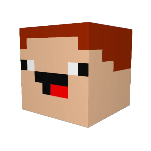 turkeyman5555 Minecraft avatar head, 3D render