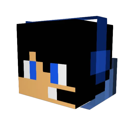 turkeytom13 Minecraft avatar head, 3D render