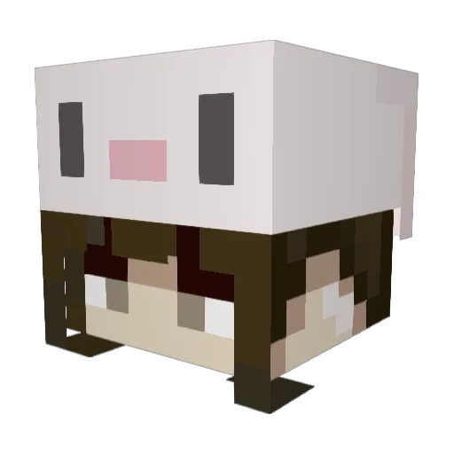 turlts Minecraft avatar head, 3D render