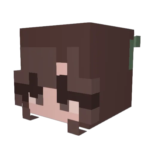 turnerchloee Minecraft avatar head, 3D render