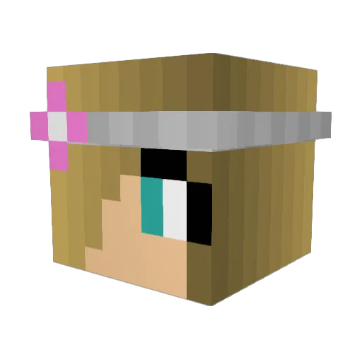 turnips89 Minecraft avatar head, 3D render