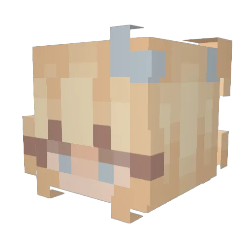 turquoiserose9 Minecraft avatar head, 3D render