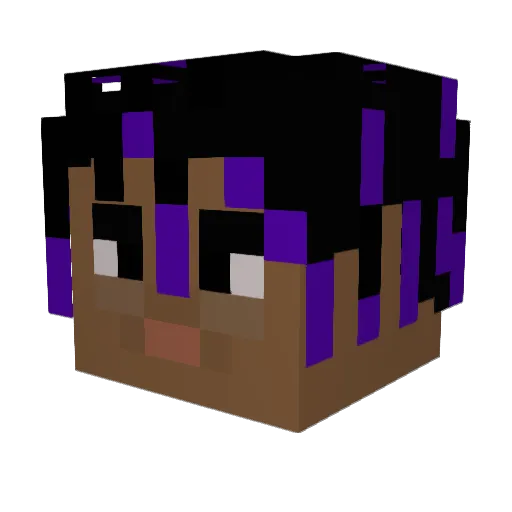 turtel999 Minecraft avatar head, 3D render