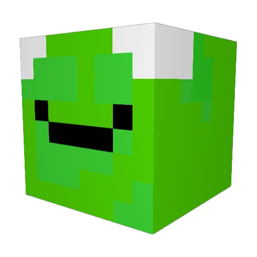 turtelnekiscool Minecraft avatar head, 3D render