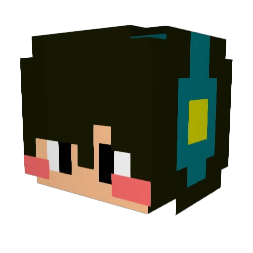turtle123 Minecraft avatar head, 3D render