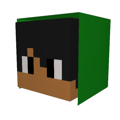 turtle2336 Minecraft avatar head, 3D render