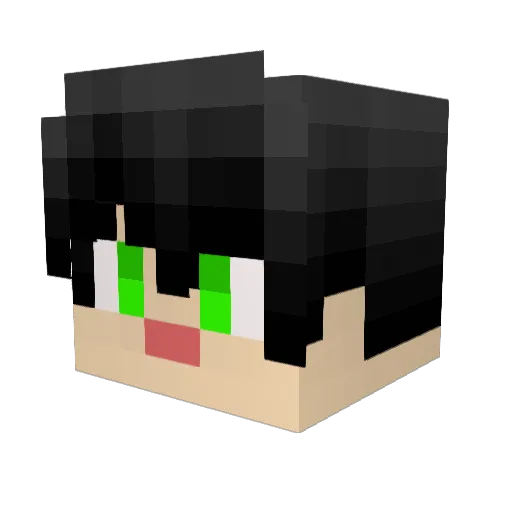 turtle25fan Minecraft avatar head, 3D render