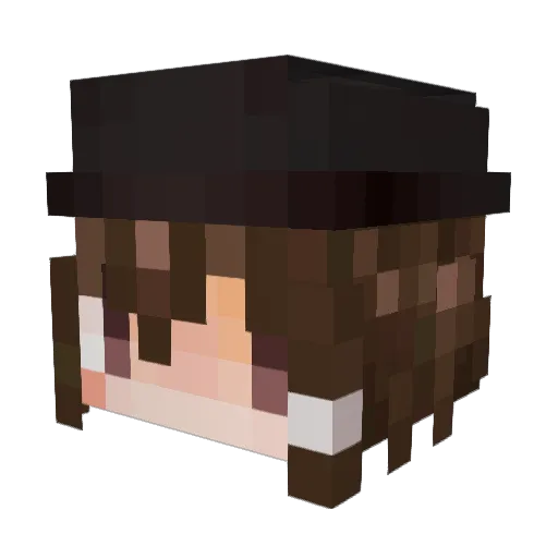 turtle3355 Minecraft avatar head, 3D render