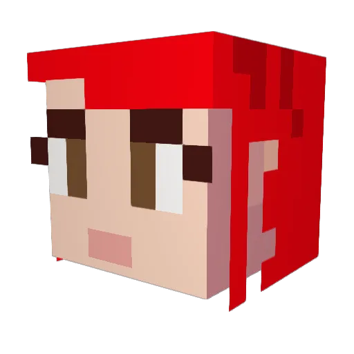 turtle753 Minecraft avatar head, 3D render