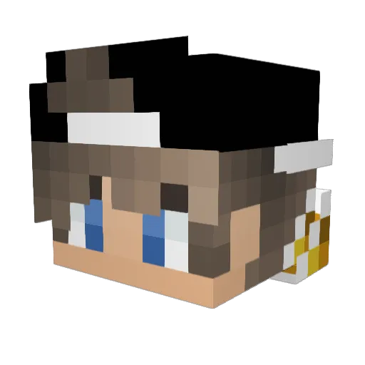 turtle88888aa Minecraft avatar head, 3D render
