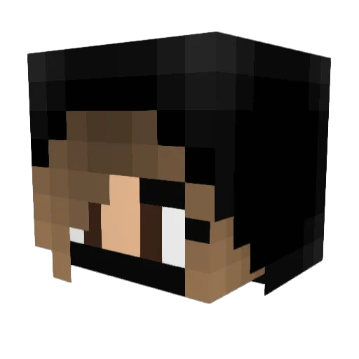 turtleBauerpower Minecraft avatar head, 3D render