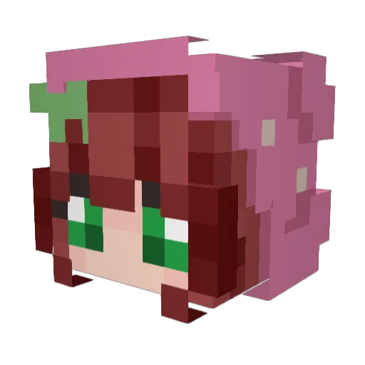 turtleCat01 Minecraft avatar head, 3D render