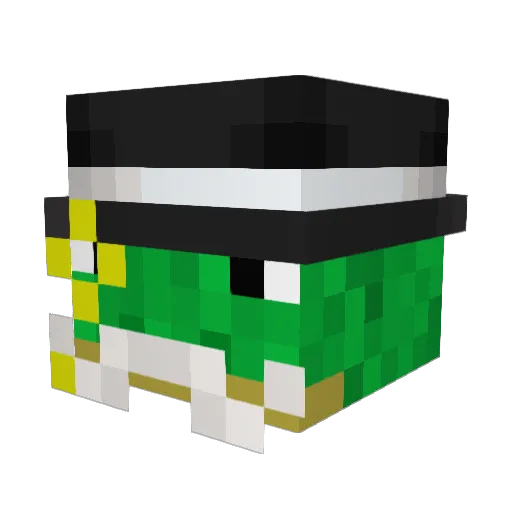 turtle_17 Minecraft avatar head, 3D render