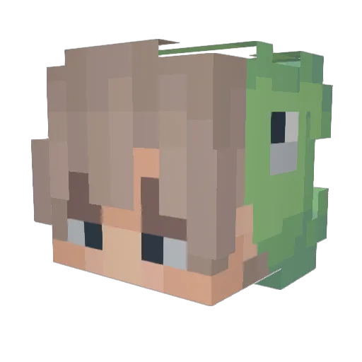 turtle__lol Minecraft avatar head, 3D render