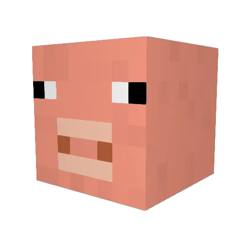 turtle_dude1 Minecraft avatar head, 3D render