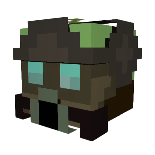 turtle_puf Minecraft avatar head, 3D render