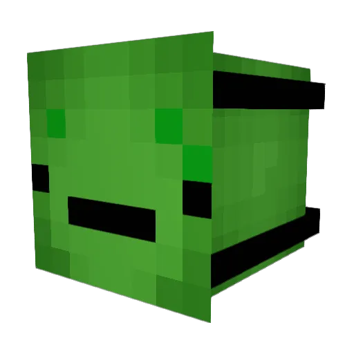 turtleanimate Minecraft avatar head, 3D render
