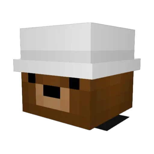 turtleboxx Minecraft avatar head, 3D render
