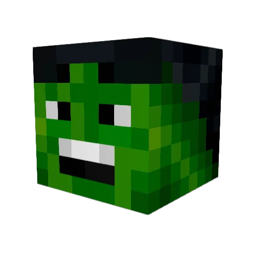 turtleboy101 Minecraft avatar head, 3D render