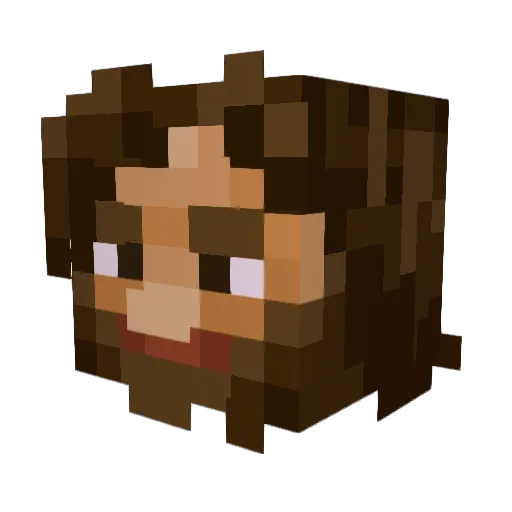 turtleboy200712 Minecraft avatar head, 3D render