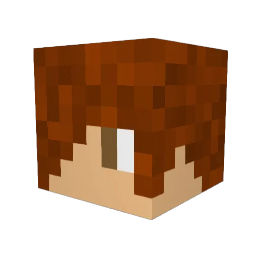 turtleboy40 Minecraft avatar head, 3D render