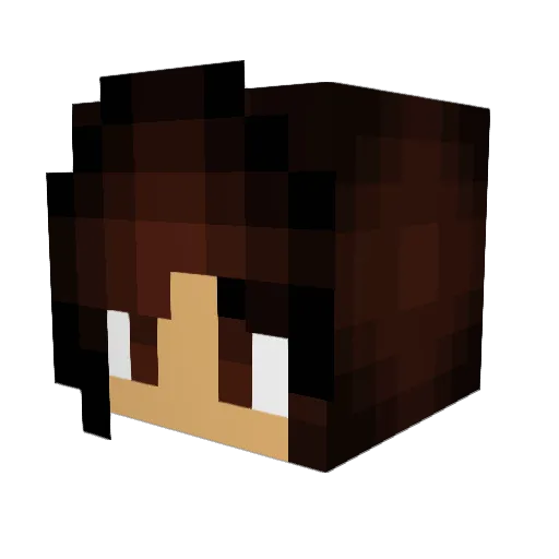 turtlecar4 Minecraft avatar head, 3D render