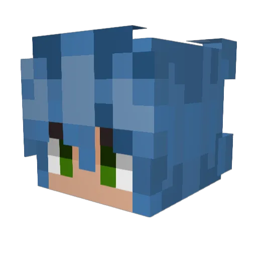turtlecrusher Minecraft avatar head, 3D render