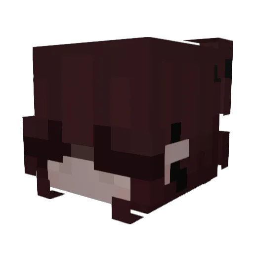 turtledew12 Minecraft avatar head, 3D render