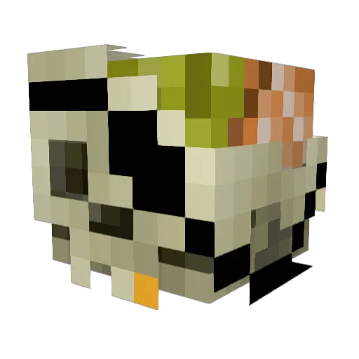 turtlediva Minecraft avatar head, 3D render