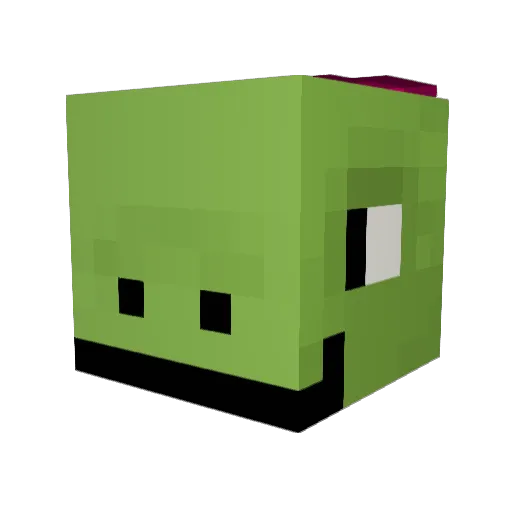 turtledude01 Minecraft avatar head, 3D render