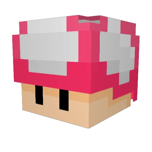 turtleduster Minecraft avatar head, 3D render
