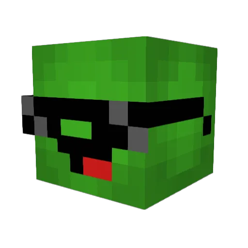 turtlefan2326 Minecraft avatar head, 3D render
