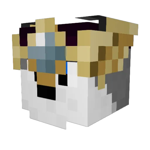 turtlehermit1319 Minecraft avatar head, 3D render