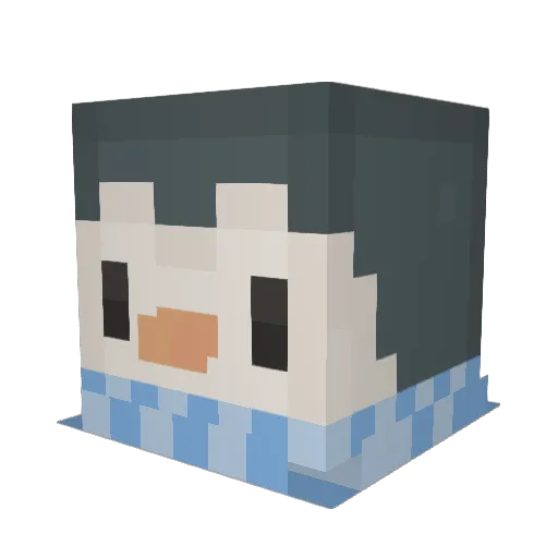 turtleking1102 Minecraft avatar head, 3D render