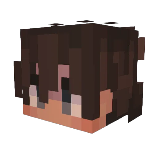 turtlelover0000 Minecraft avatar head, 3D render