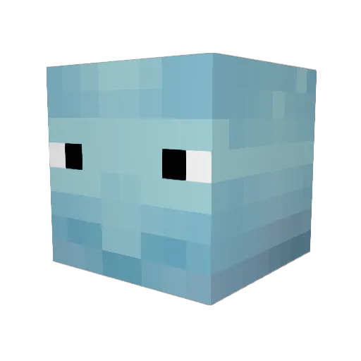 turtlelover11805 Minecraft avatar head, 3D render