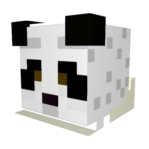 turtlelover257 Minecraft avatar head, 3D render
