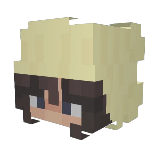 turtlelover75 Minecraft avatar head, 3D render