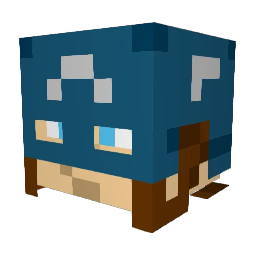 turtleman580 Minecraft avatar head, 3D render