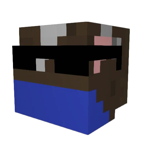 turtleman66 Minecraft avatar head, 3D render
