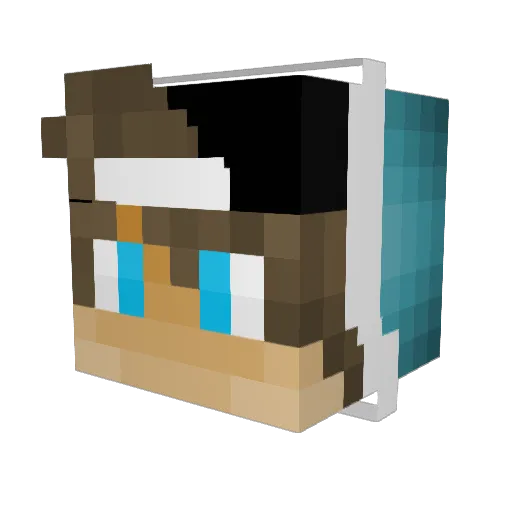 turtlemaster0909 Minecraft avatar head, 3D render
