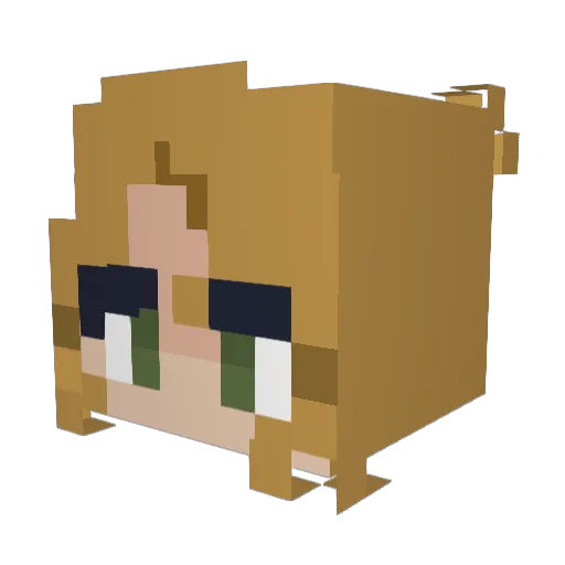 turtlemaster48 Minecraft avatar head, 3D render
