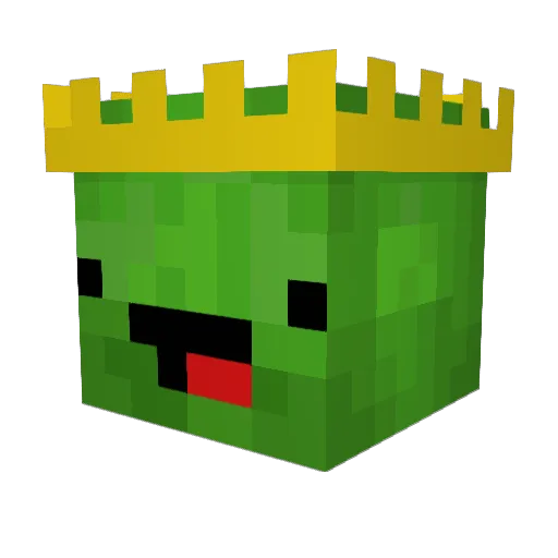 turtlemaster715 Minecraft avatar head, 3D render