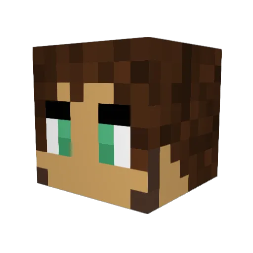 turtlemato Minecraft avatar head, 3D render