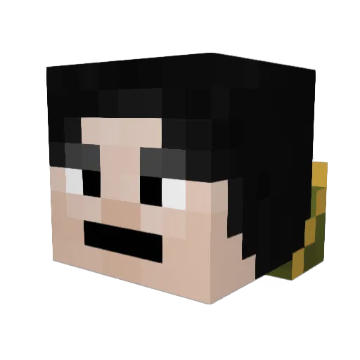 turtlemay Minecraft avatar head, 3D render